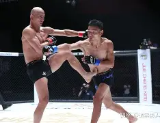 综合格斗焦点战引热议(综合格斗教学完整版)